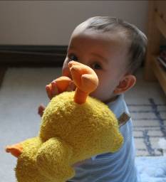 Nathan